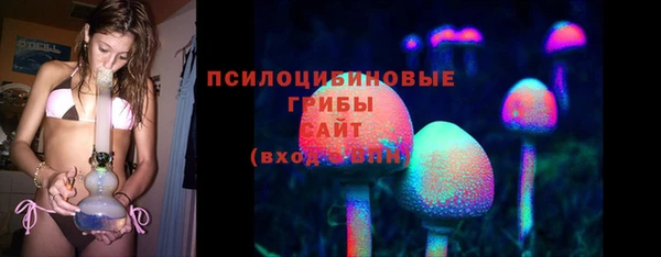 стафф Осташков